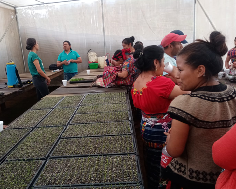 Asociación de agricultores