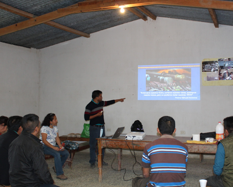 Guardianes y guardianas de la casa común
